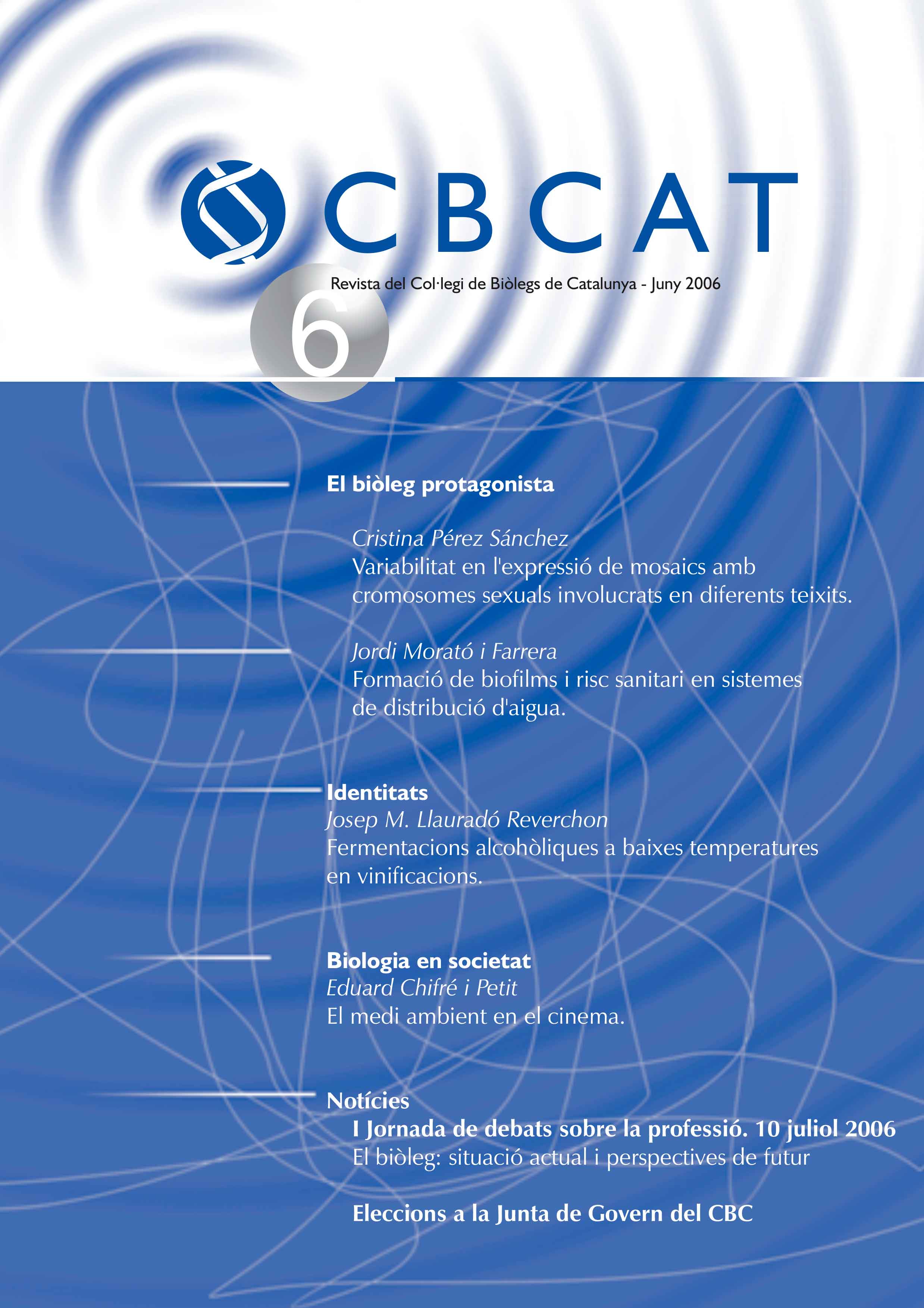 cbcat06