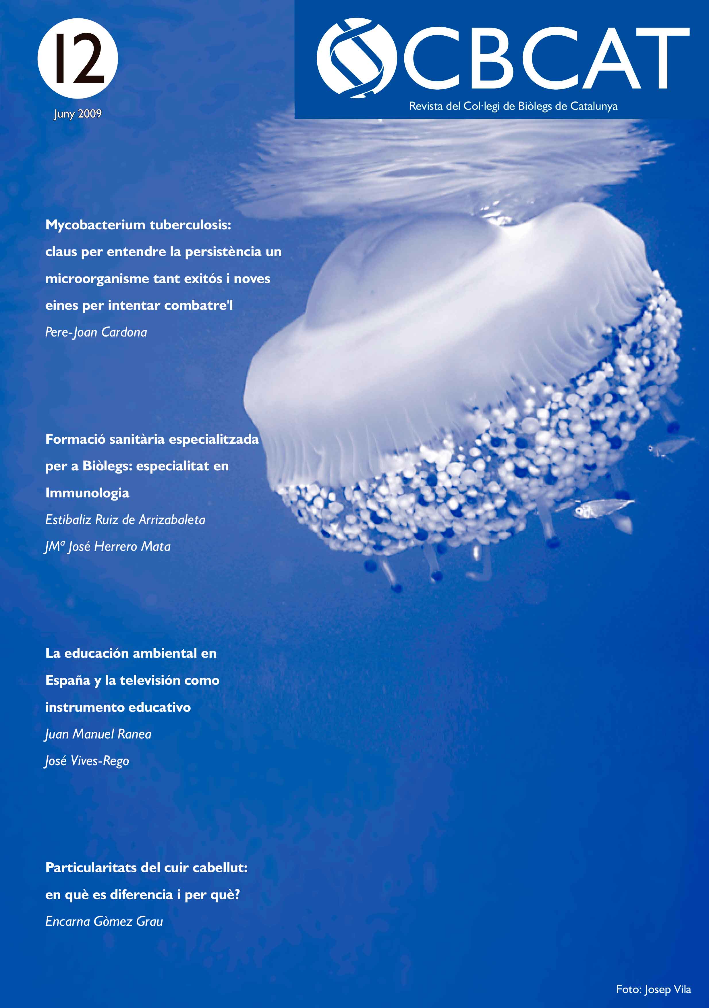 cbcat 12