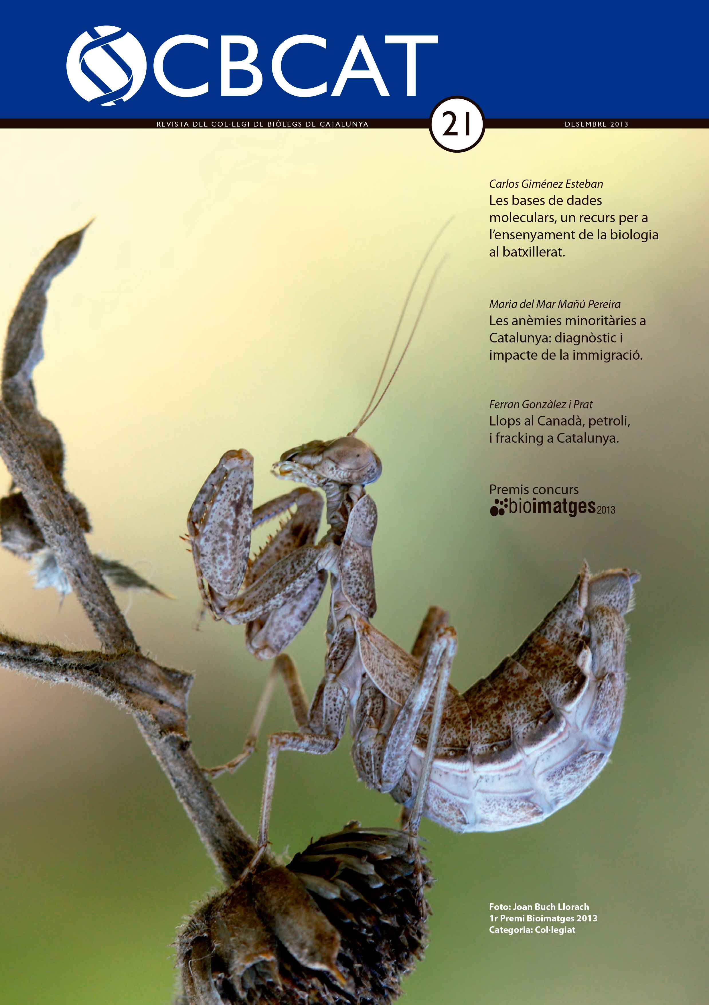 cbcat 21