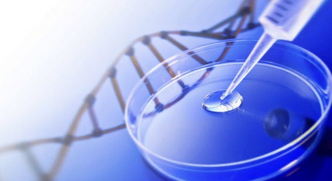 biotecnologia sortides professionals