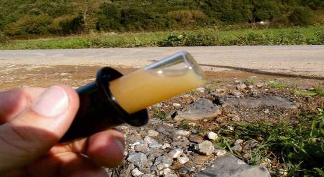 Sortides professionals Medi ambient i sostenibilitat toxicitat