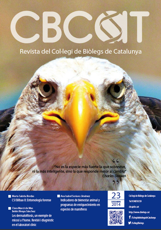cbcat 23