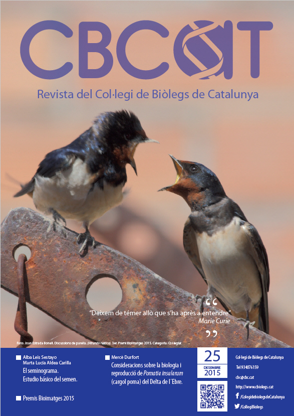 cbcat 25