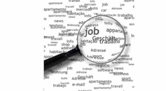 Recursos d'Ocupació: Borsa de treball, Ofertes a la xarxa, Emprenduria (intranet)
