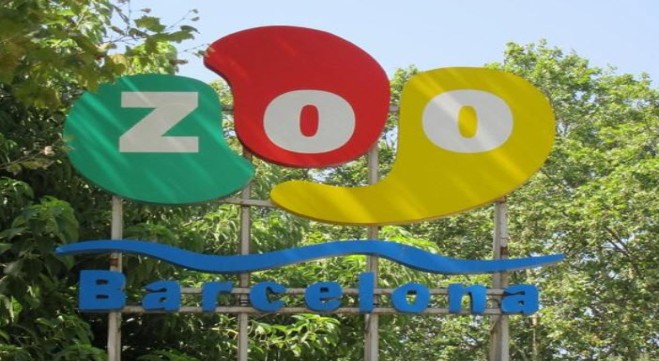 Gaudeix del Zoo de Barcelona a preus reduïts!!!