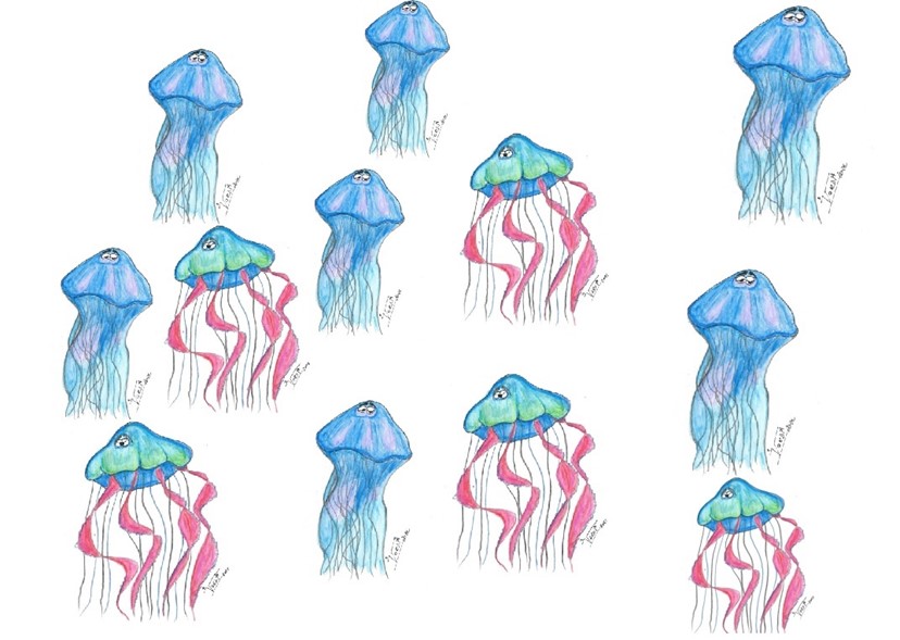 Meduses plàncton gelatinós
