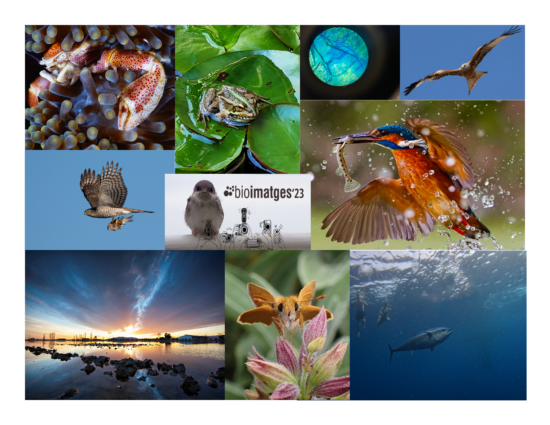 bioimatges 2023
