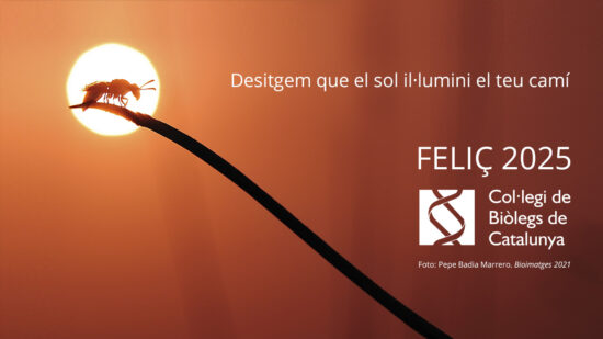 Bones festes i feliç 2025