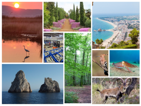 Jornades professionals de biòlegs a Terres Gironines