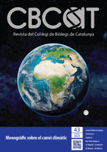 CBCAT numero 43