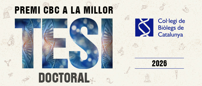 Premi cbc tesi doctoral
