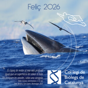 Feliç 2026 cbc