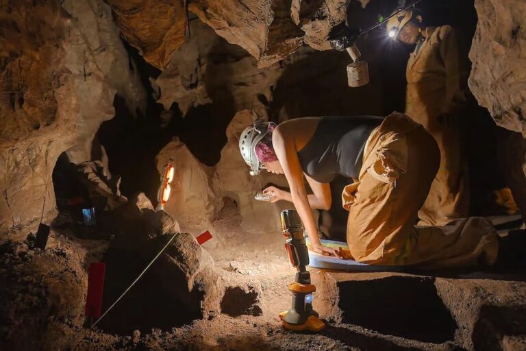 Cave of bones Cinema i ciència