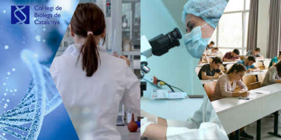 consells de BIR a futurs BIR