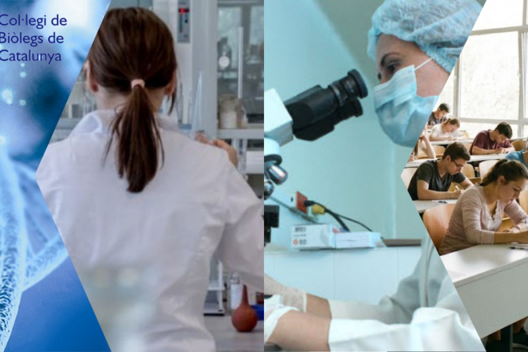 consells BIR 2026 consells de BIR a futurs BIR