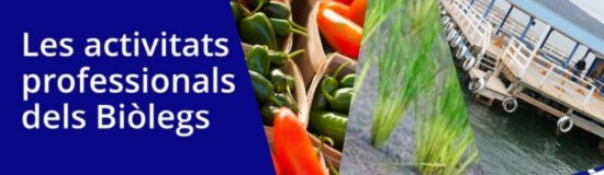 sector agroalimentari agricultura pesca aqüicultura