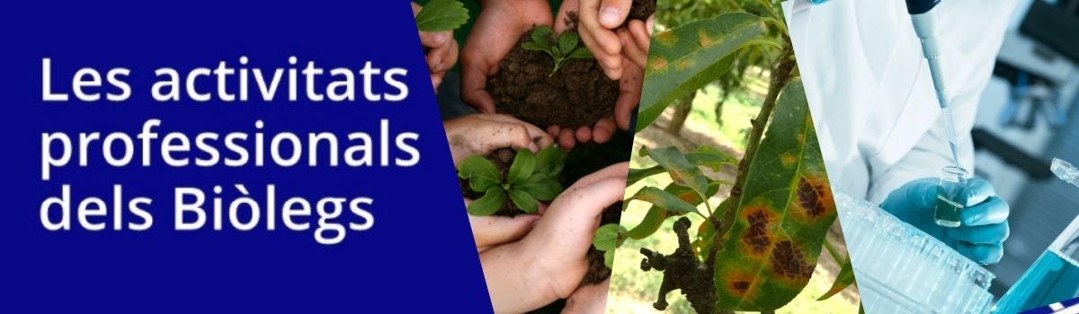 baner agricultura plagues i malalties