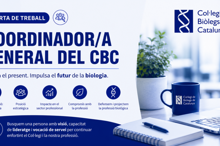 oferta treball coordinador /a cbc