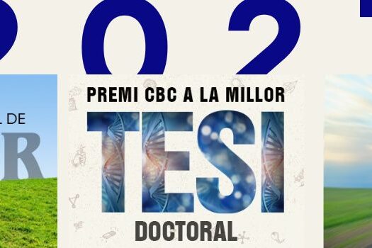 Premis CBC 2027
